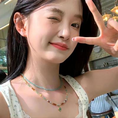大使阁下的料理人